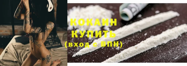 кокс Алексин