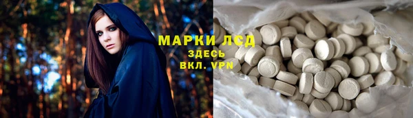 apvp Алзамай