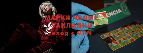 кокс Алексин