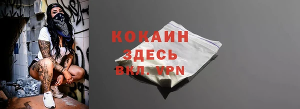 кокс Алексин
