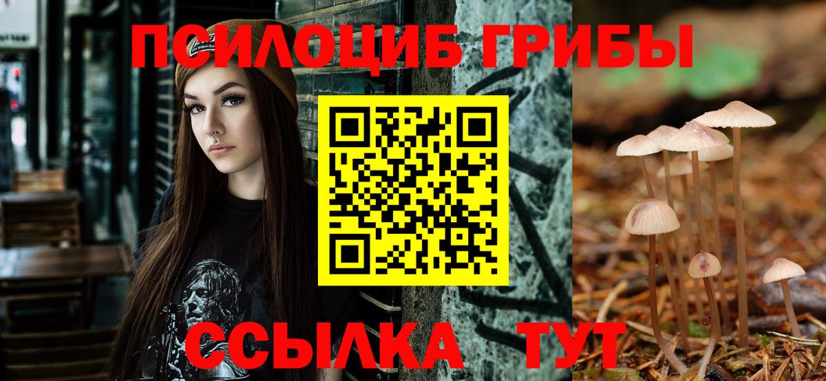 Псилоцибиновые грибы Psilocybe  Вход с VPN  Грязи  Галлюциногенные грибы ЛСД 