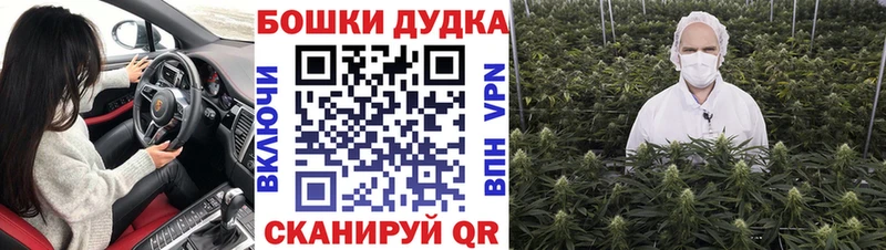 Каннабис SATIVA & INDICA  купить наркотики цена  Грязи 